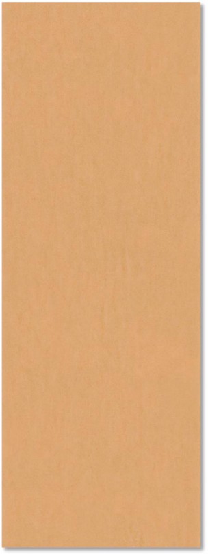 Putty Sunny Orange