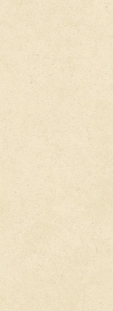 Lime Stone Beige