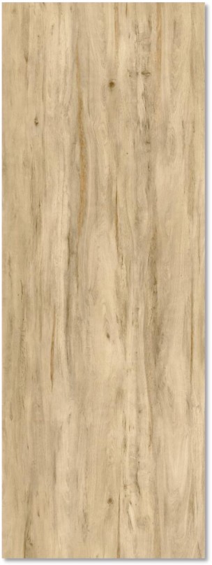 Ailanthus Wood